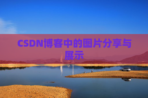 CSDN博客中的图片分享与展示